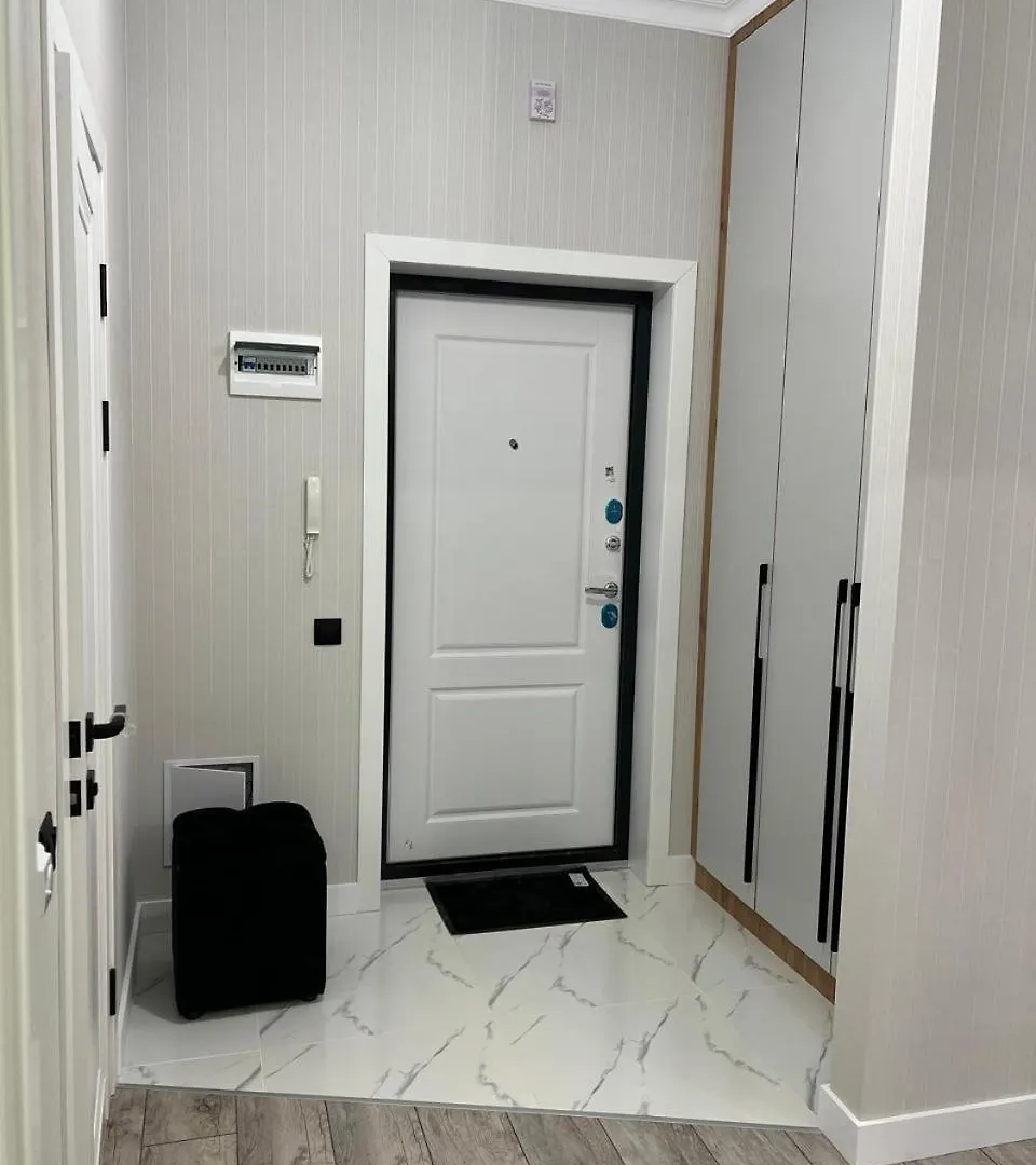 Cosy flat Apartment Nur-Sultan